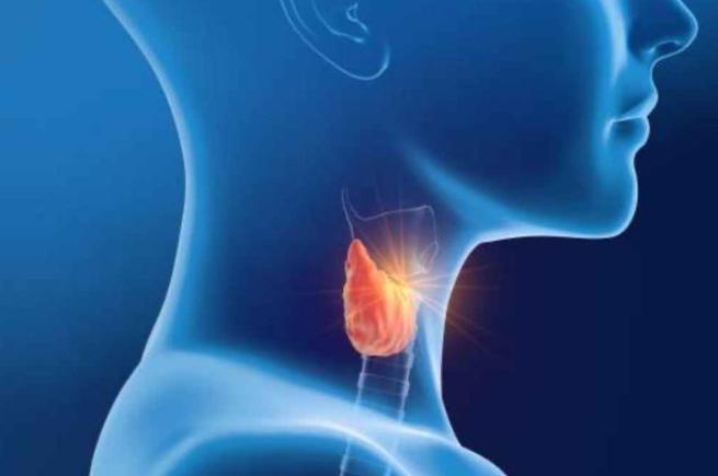 甲狀腺結節腫症狀病因