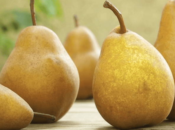 毛玻璃結節飲食基本原則 毛玻璃結節飲食基本原則